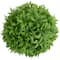 Solar Lighted Artificial Eugenia Topiary Balls Set, Warm White Lights